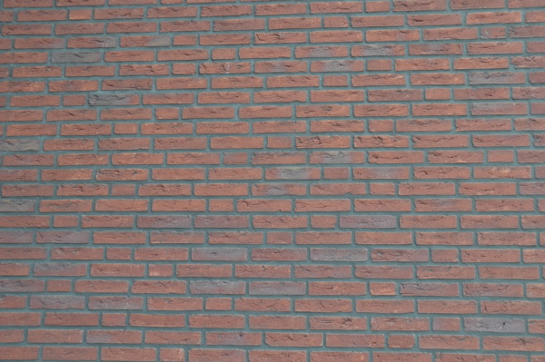 Sint-Annaland (NL) - Bommels Bont HV WF