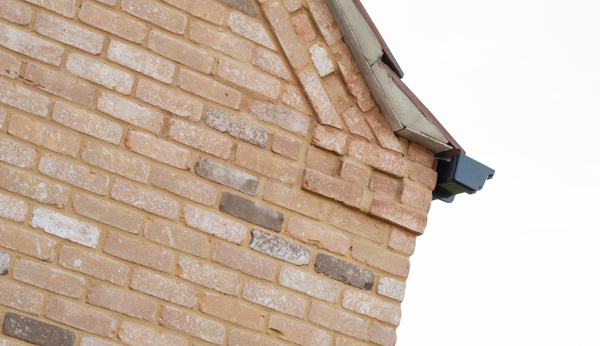 Lincoln (UK) - Texas VB EF