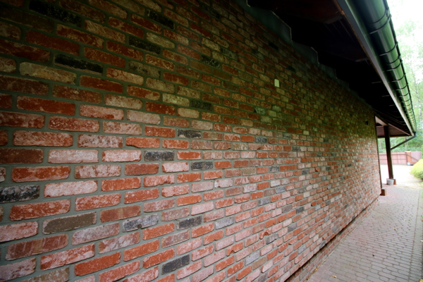 Polen - Utah EF VB / RC118