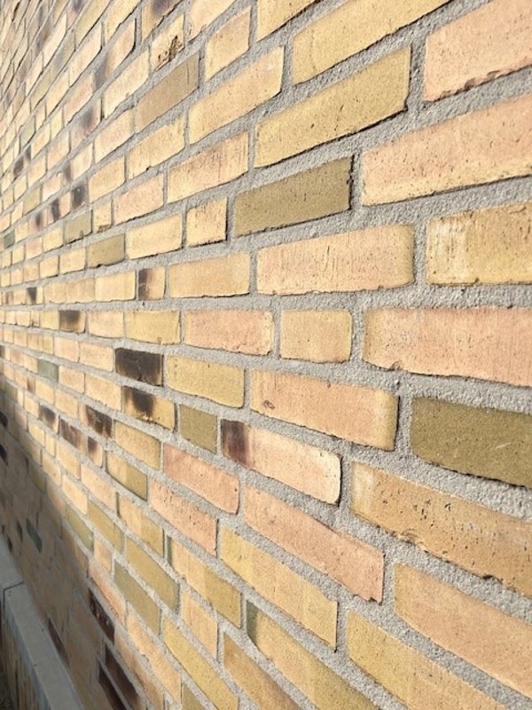 Oosterhout (NL) - Aqua Geel Bruin  Kameleon Collectie