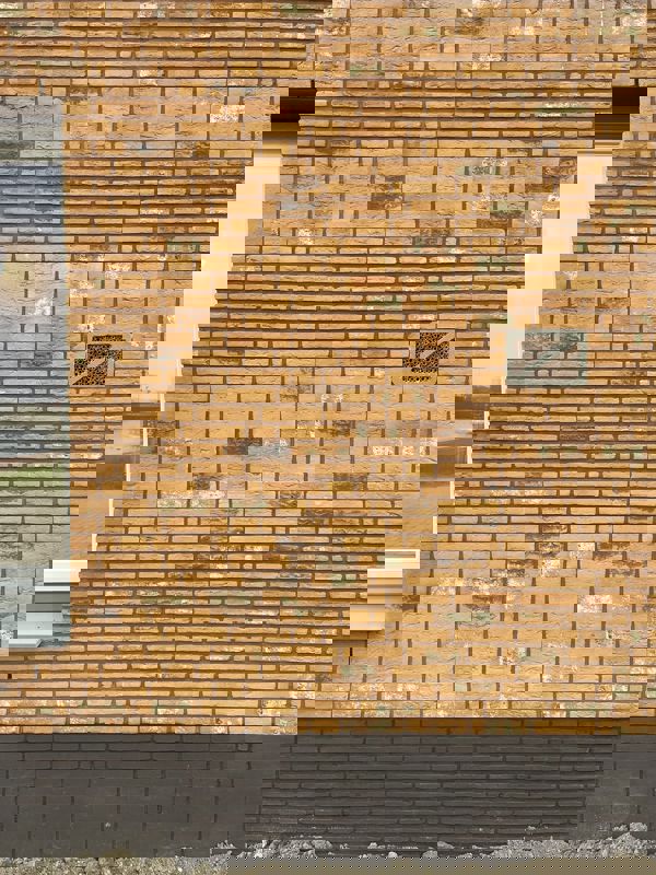 Zeewolde (NL) Macaroon Yellow Flame WF HV