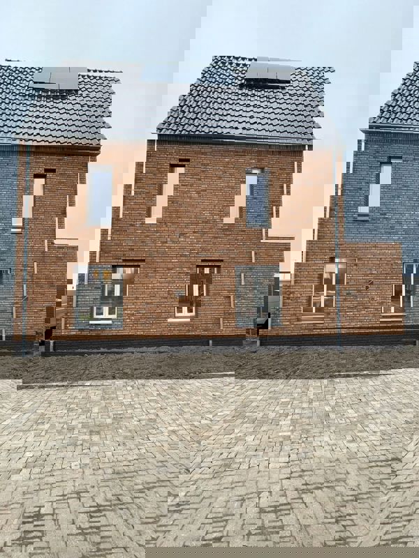 Zeewolde (NL) Macaroon Yellow Flame WF HV