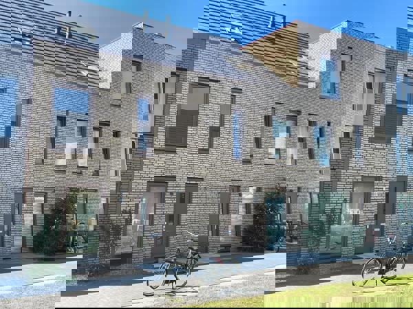 Kerkuil en Bosuil Amersfoort (NL) - Aqua Geel WF